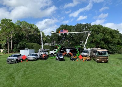 Tree Removal Land O' Lakes FL